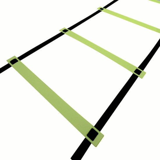 csv_image script 450791448.png